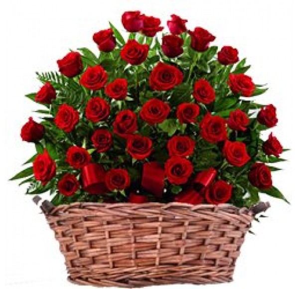 Bouquet of 50 Red Roses